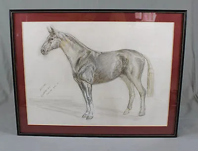 G Wren Pencil Drawing Sketch Study Hanoverian Stallion Horse Portrait  ‘Accord’ • £245