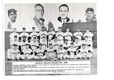 Original 1960 Vancouver Mounties 8x10 Team Photo Baseball Canada • $95