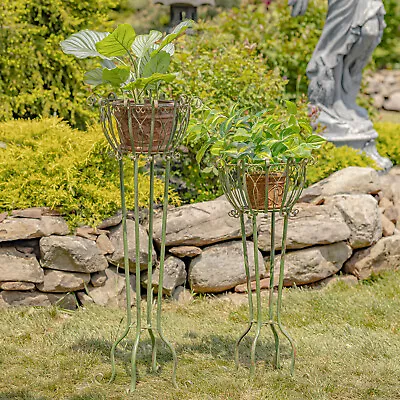 Set Of 2 Tall Metal Basket Plant Stands  Stephania  • $159.95