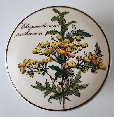 Villeroy & Boch Botanica Chrysanthemum Parthenium  Trinket Box & Lid Feverfew • $12.99