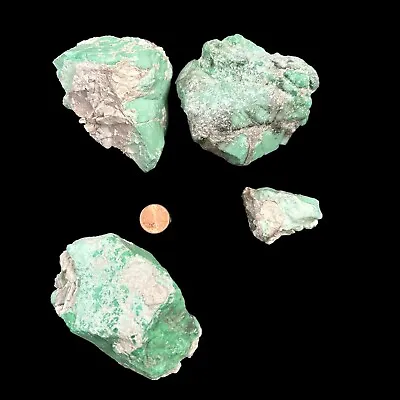 Variscite  Lucin Utah Rough Natural Edison Bird Mine  830 Grams • $38