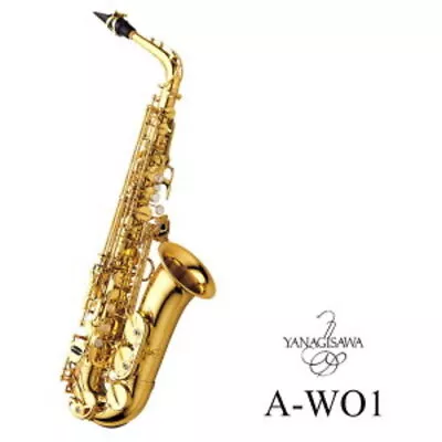 Yanagisawa A-WO1 Alto Saxophone A WO1 With Case New In Stock • $2687