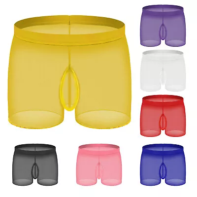 Mens Panties Low Rise Shorts See Through Boxer Briefs Sleepwear Underpants Sexy • $8.99