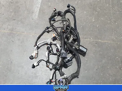 Holden L76 Automatic Wiring Loom VE Engine • $245