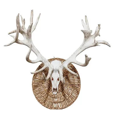 Red Stag Skull With Natural Untouched Horns| Euro Moun|Lodge Decor | Antlers 537 • $2350