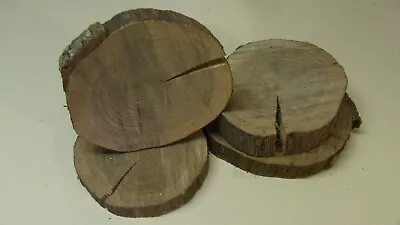 White Oak Wood Rounds/Log Slices 6-7  Diameter (4 Pack) • $24