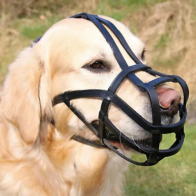 £12.86 • Buy Trixie Stitched Bridle Leather Dog Muzzle With Forehead Strap 6 Sizes Available