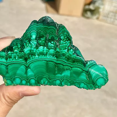 144G Natural Malachite Slice Quartz Crystal Luster Mineral Specimen • $7.27