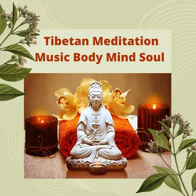 $3.34 • Buy 8hrs Tibetan Meditation Music Shamanic Soft Healing Body Mind Soul Relax MP3 CD