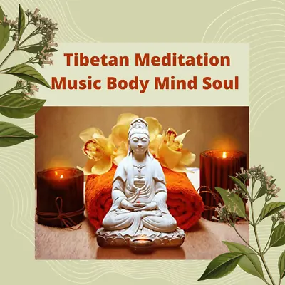 8hrs Tibetan Meditation Music Shamanic Soft Healing Body Mind Soul Relax MP3 CD • £2.99