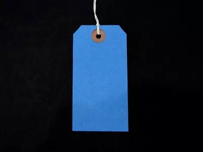 Blue Strung Tie On Tags String Luggage Labels Wedding Craft Gift 120mm X 60mm • £5.75