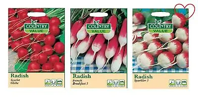 Vegetable Radish Seeds Outdoors Sowing Garden • £1.89