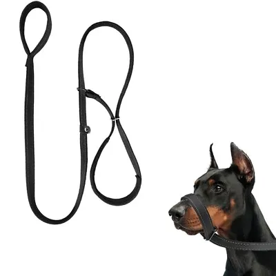 Figure Of 8 Dog Lead Dog Lead With Soft Comfy Padded Loop Handle And Nose Pads • £7.59