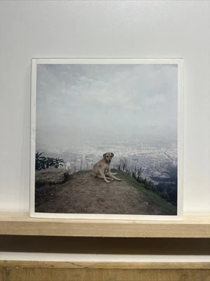 $150 • Buy Alec Soth - 2007 1ST EDITION & 1ST PRINTING - Steidl