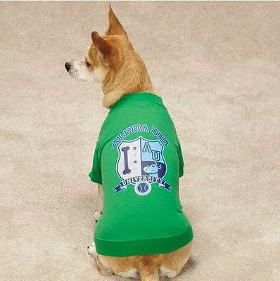 Zack & Zoey Alpha Dog University Dog T-Shirt Tee Green Pet Top Clothing  • $9.99