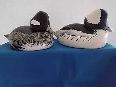 Bufflehead Duck Decoys (1) Life Size Pair Signed And Dated 1971 • $0.99