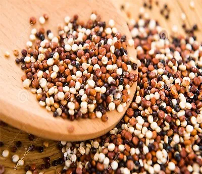 £3.99 • Buy Organic Tricolour Quinoa