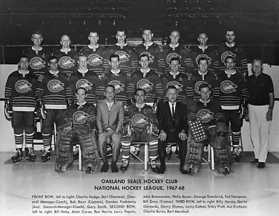 NHL 1967 - 68 Defunct Oakland Seals 1st Team Picture 8 X 10 Photo Picture • $5.59