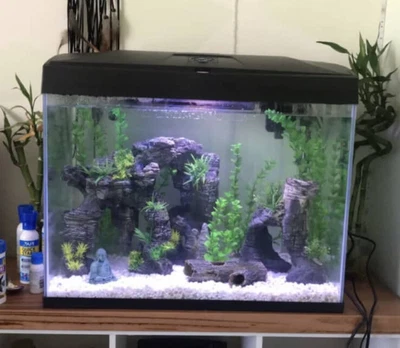 $180 • Buy Fish Aquarium/Tank 70L - Used In Perfect Condition