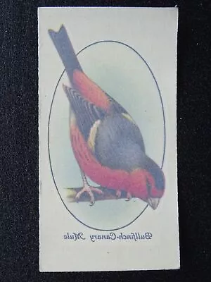 BULLFINCH CANARY MULE Aviary & Cage Birds TRANSFERS By John Player 1933 • £2.75