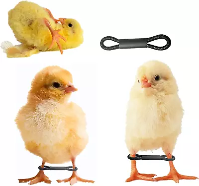 100 Pieces Baby Chicken Splay Leg Hobble Brace Adjustable Poultry Leg Bands For  • $19.99