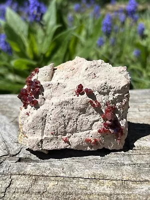 Dark Red Vanadinite Crystals- Natural 3.3” Morocco Vanadinite On Matrix Cluster • $46.95