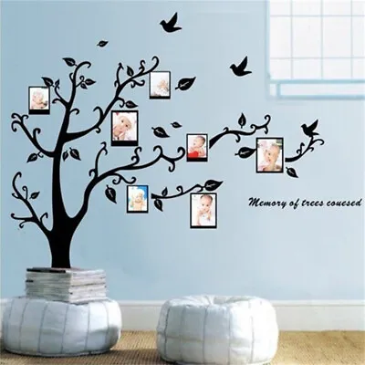 Large Family Photo Frame Tree Wall Stickers Art Wall Decal Living Room Decor UK • £6.83