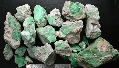 1lb Variscite Rough Edison Bird Mine Lucin Utah  • $95