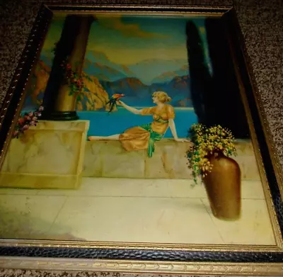 R. Atkinson Fox Art Deco Lady Parrot Lake Flowers 16.5 X13.5  Framed Print 1920 • $129.99