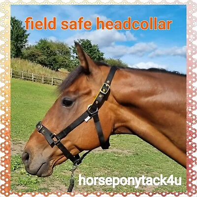 £11.95 • Buy  Field Safe Breakaway Brass Headcollar With Safety Release Fully Adjustable