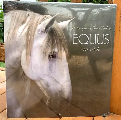 Equus 2019 Calendar  Photography By Susan Friedman COLLECTIBLE • $10.50