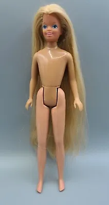 Vintage Mattel Barbie Tropical Skipper Doll Super Long Blond Hair  • $8.95