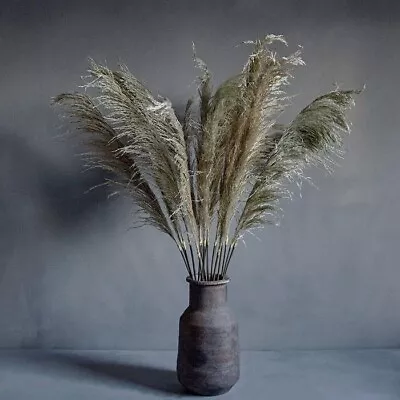 Abigail Ahern Pampus Grass Stem • £15.50