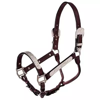 $69.95 • Buy Royal King Show Halter And Lead