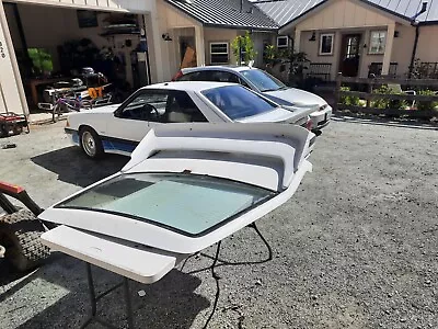 Rear Hatch 1989 Ford Saleen Mustang  • $1000