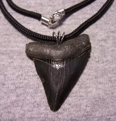 Megalodon Shark Tooth Necklace 2  Fossil Teeth Pendant Jaw Megalodon GEM • $39