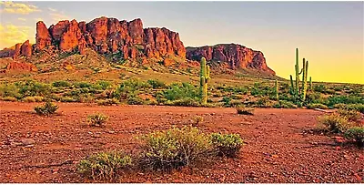 48X24 Inches Reptile Habitat Background Sky Oasis Mountain Cactus Sun And Desert • $15.61