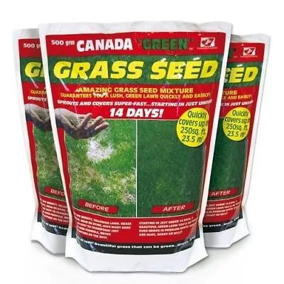 Canada Green Grass Seed • £16.95