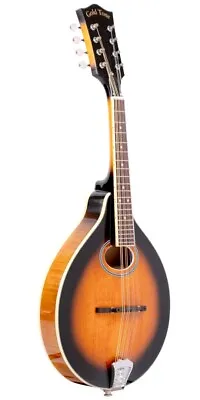 Gold Tone GM-50+ A-Style Acoustic Electric Mandolin With Pickup And Gig Bag • $459.99