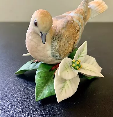 Vintage Lenox Garden Birds Collection Turtle Dove Fine Porcelain Figurine  • $19.99