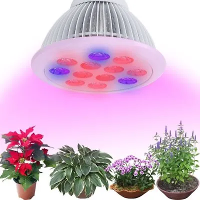 Sandalwood LED Plant Grow Light Bulb Hydroponic Garden Veg Flower 12W E26 E27 • $12