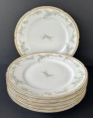 Charles Haviland Limoges Dinner Plates 9 3/4   CHF429 Blue Pink Flowers Set Of 6 • $100