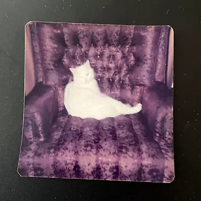 Vintage Snapshot Photo 1970s White Cat Reclining In Purple Tufted Chair • $42.26