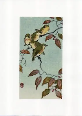 Japanese Reproduction Woodblock  Birds In A Tree Ohara Koson • £3.85