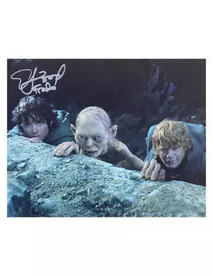 10x8 Lord Of The Rings Print Signed By Elijah Wood 100% Authentic + COA • £105