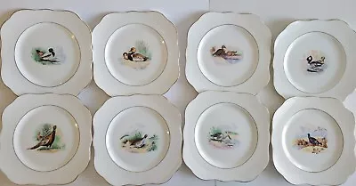 Vtg Coclough Bone China 1940 By M & R Dessert Plates Ducks Set Of 8 • $125