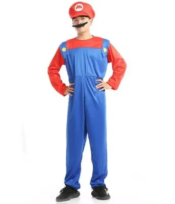 Mens Adult Super Mario And Luigi Fancy Dress Plumber Bros Halloween Costume UK • £9.99