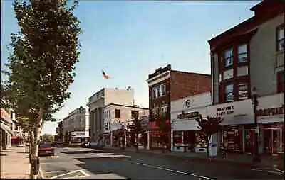 $8.29 • Buy Ridgewood New Jersey NJ Storefronts Street Scene Vintage Postcard