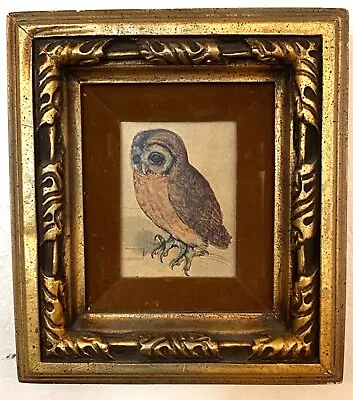 1970’s Vintage Art Print Albrecht Durer Little Owl 1508 Syroco Frame Midcentury • $53.90