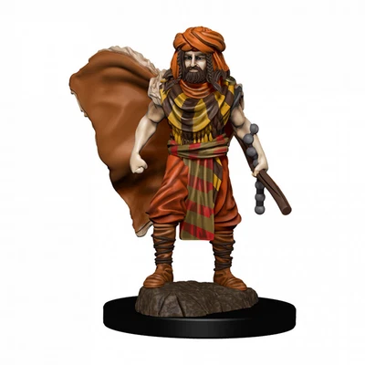 $18.95 • Buy Dungeons & Dragons Premium Male Human Druid Pre-Painted Figure